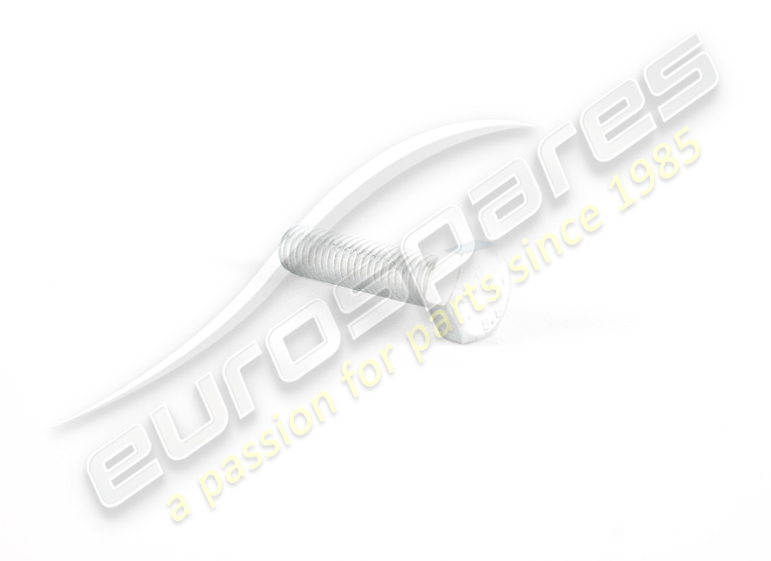 neue ferrari schraube. teilenummer 10902624 (1)