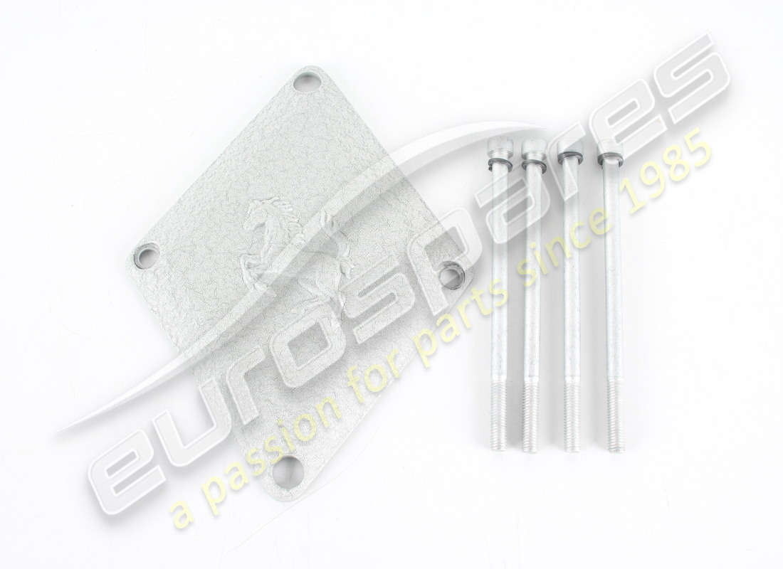 neue ferrari lufteinlassabdeckung. teilenummer 191873 (9)