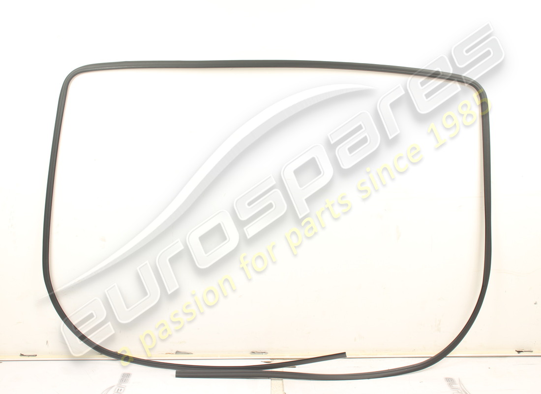 neue ferrari dichtung. teilenummer 65305700 (1)