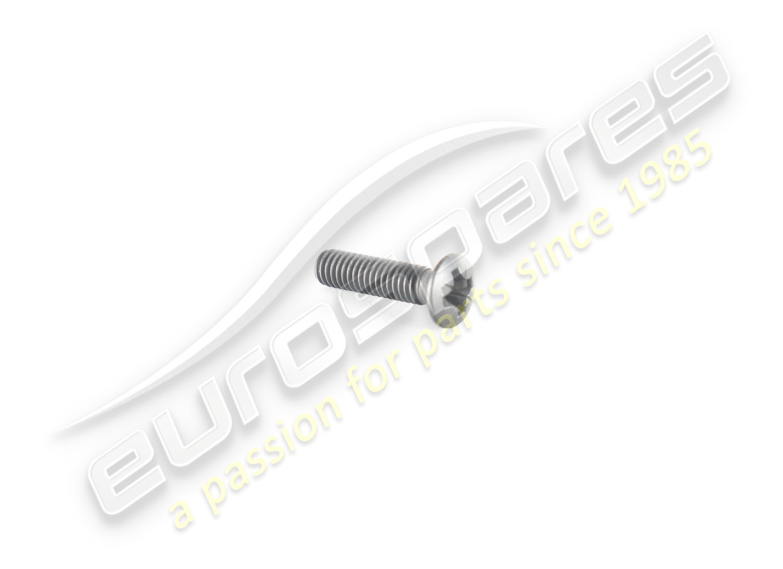neue ferrari schraube. teilenummer 13309277 (1)