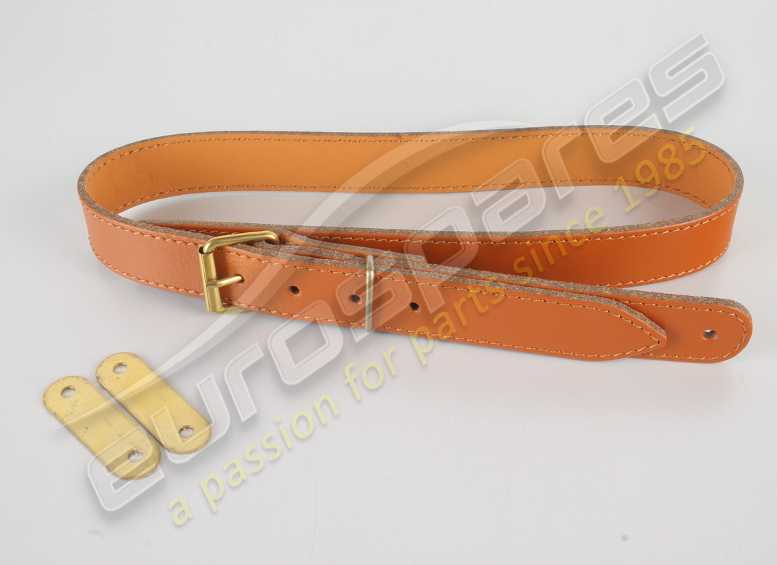neuer ferrari gürtel. teilenummer 63568100 (1)