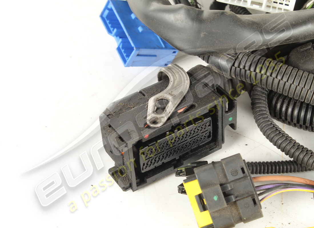 ferrari kabel verwendet. teilenummer 184955 (2)