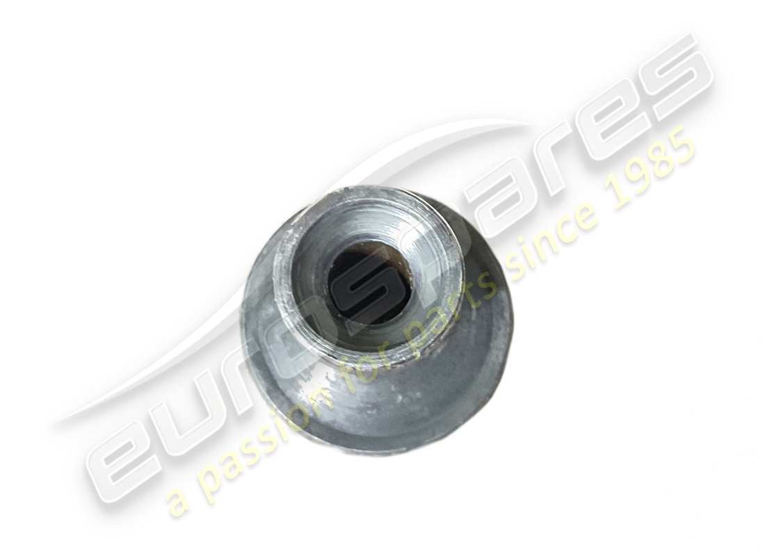 ferrari pin verwendet (nein für usa). teilenummer 60670100 (2)