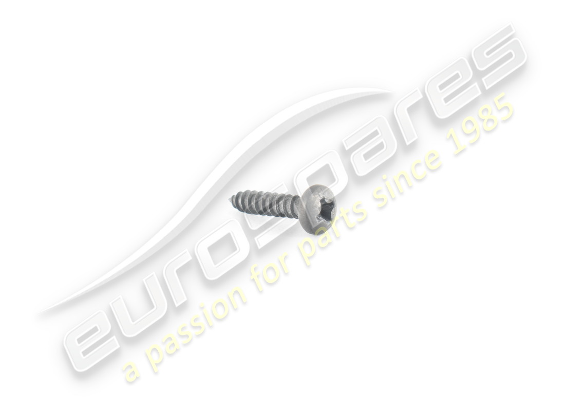 neue ferrari schraube. teilenummer 15687375 (1)