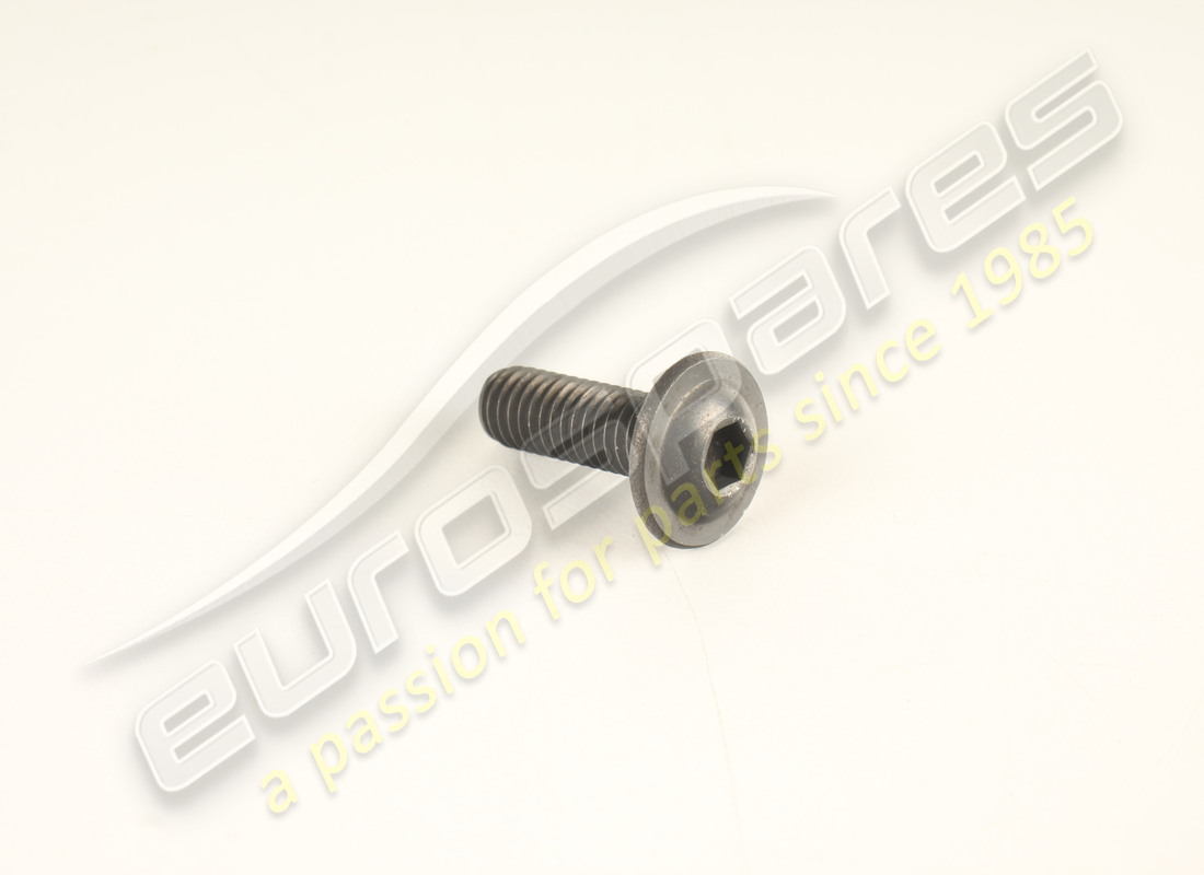 neue ferrari schraube. teilenummer 269959 (1)