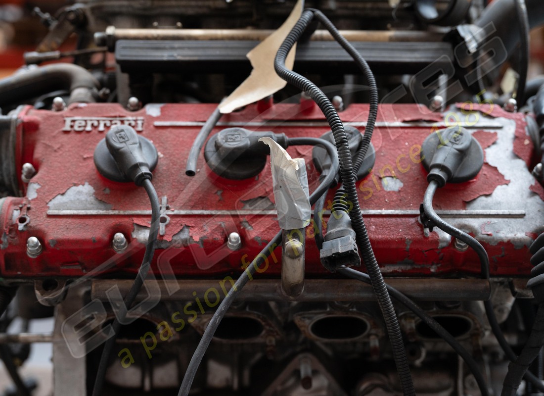 gebrauchter ferrari 348 motor. teilenummer 95961962 (5)