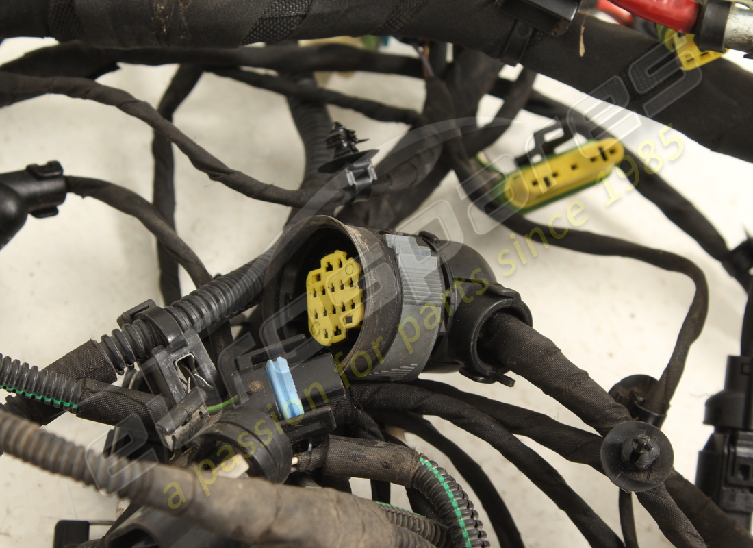 verwendet ferrari vorderes kabel. teilenummer 311974 (5)