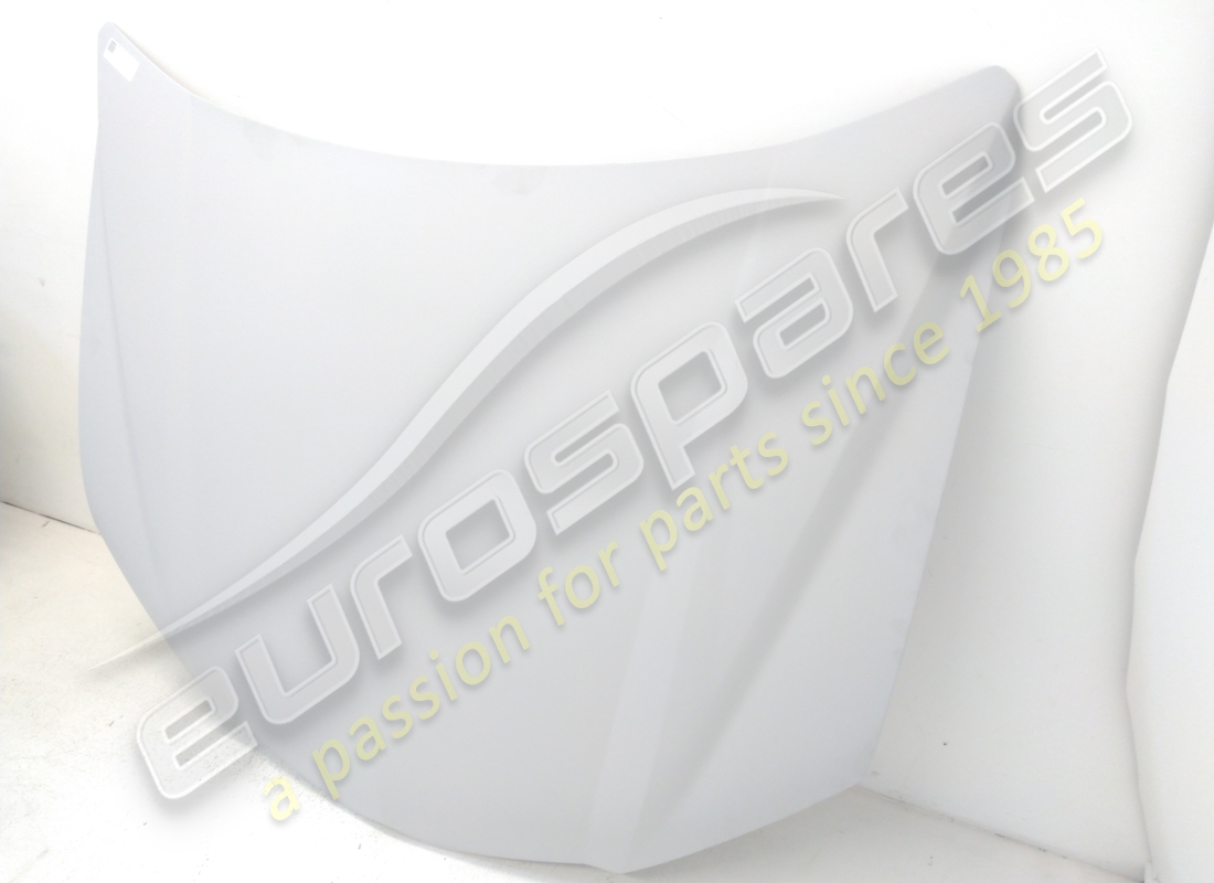 gebrauchte lamborghini haube. teilenummer 4ml823029 (2)