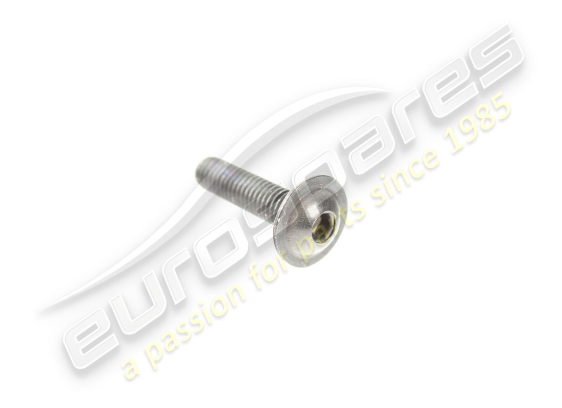 neue ferrari schraube. teilenummer 68176500 (1)