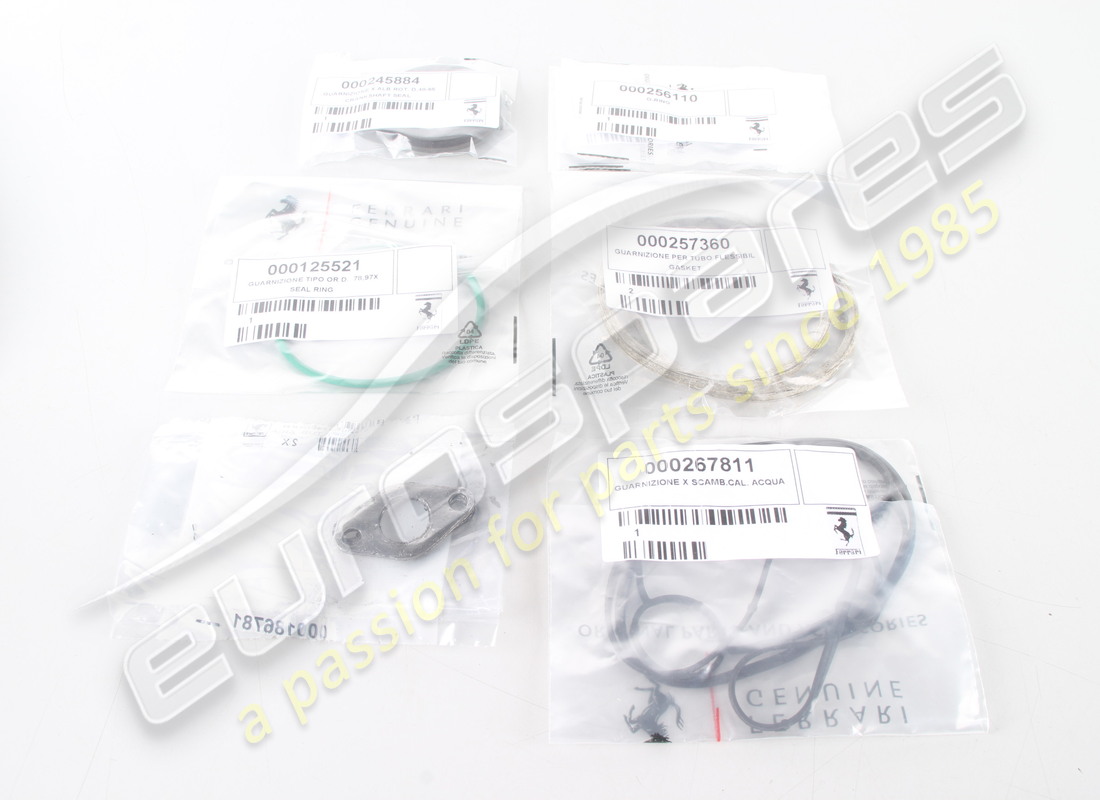 NEUER FERRARI ANTRIEBSEINHEIT-SATZ VON GASKE. TEILENUMMER 266677 (15) neuer ferrari antriebseinheit-satz von gaske. teilenummer 266677 (15)