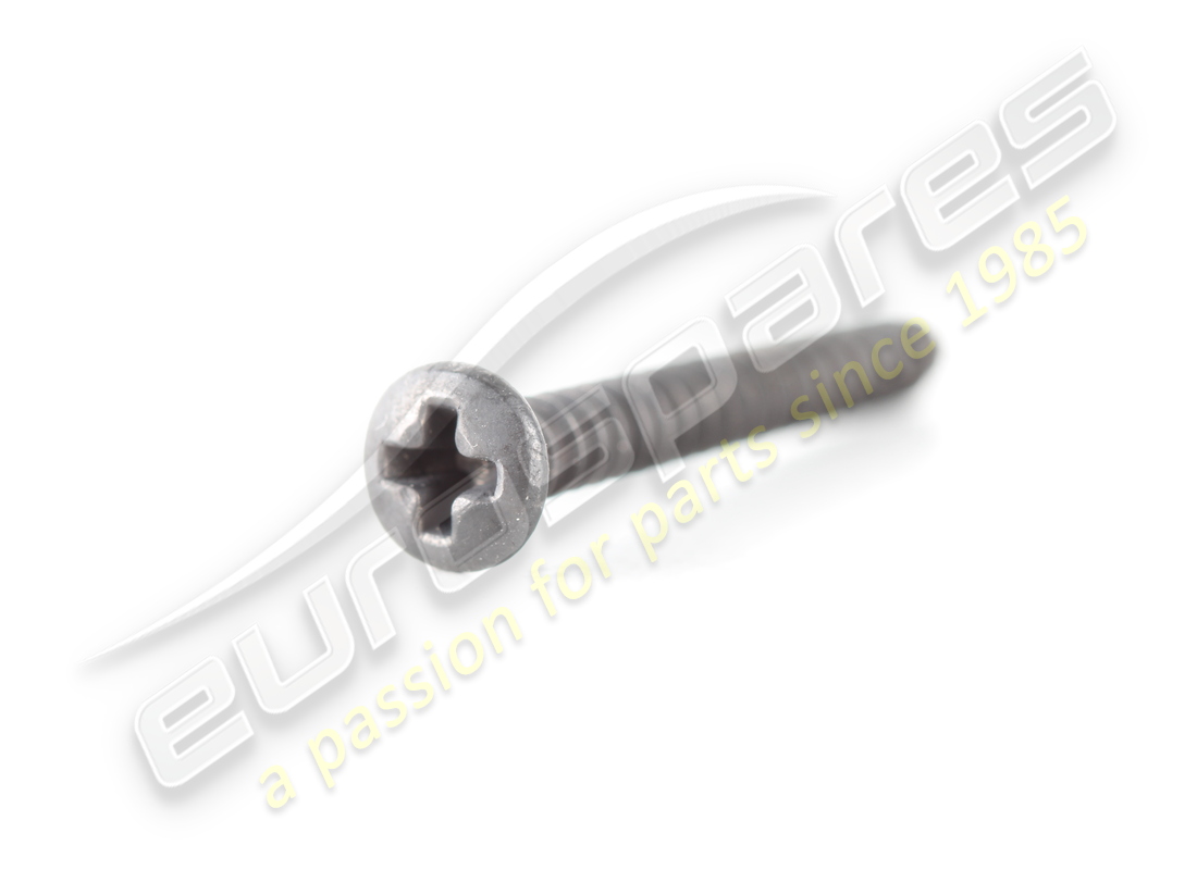 new ferrari screw trim phillips 26mm long. part number 15908878 (1)