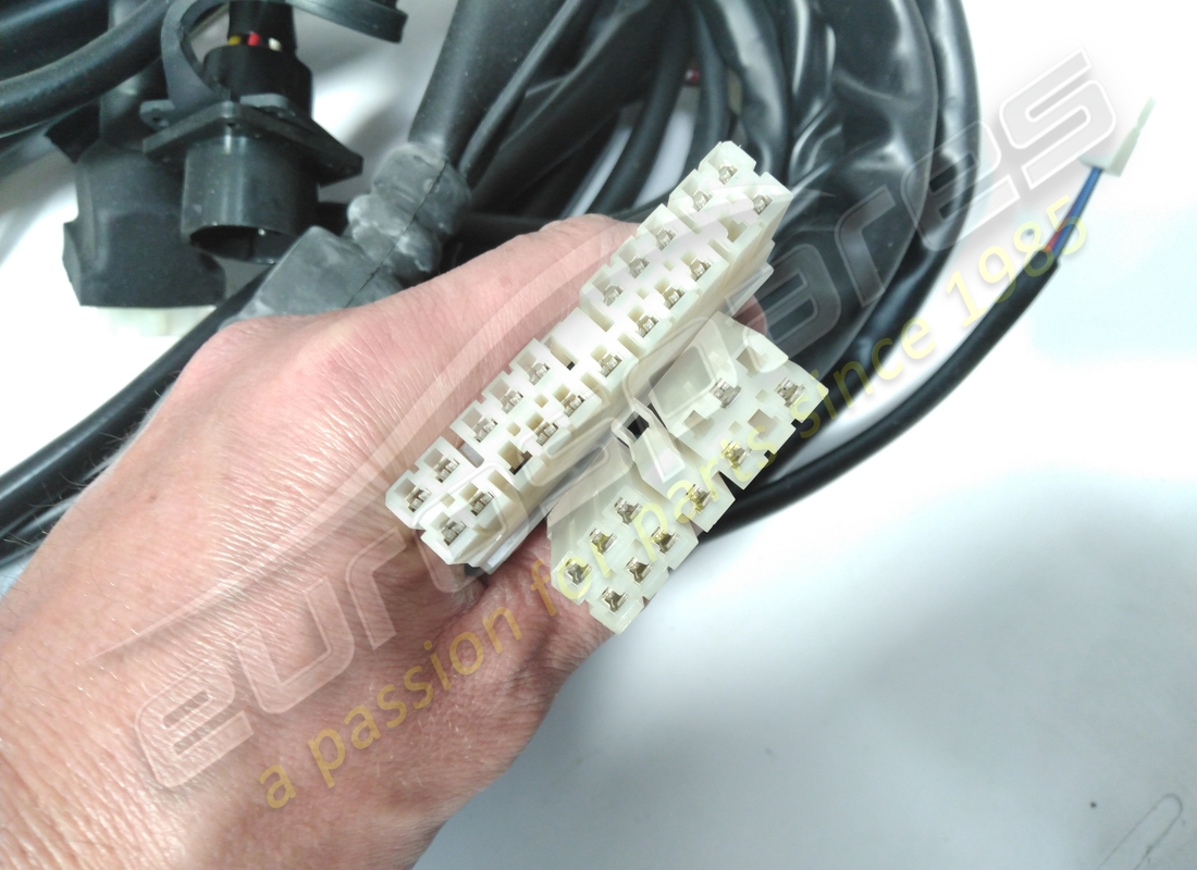 neues ferrari hinteres kabel. teilenummer 61803500 (2)