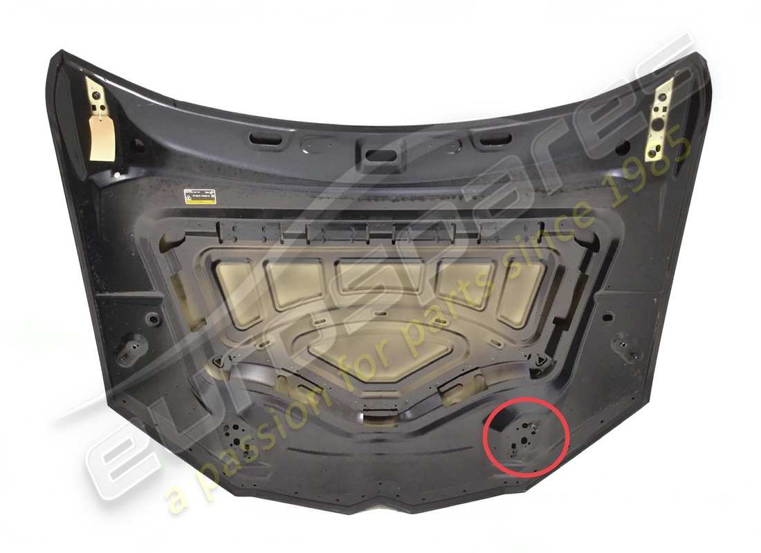 beschädigte lamborghini haube. teilenummer 4ml823029 (4)