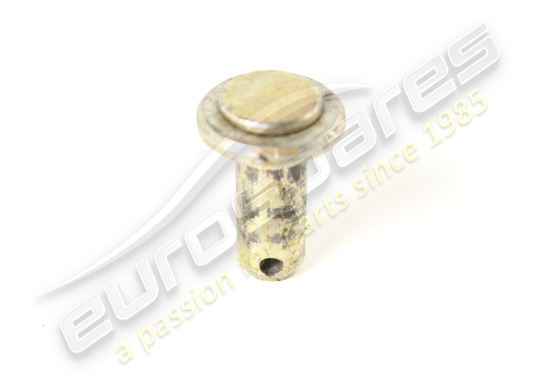 ferrari pin verwendet. teilenummer 10033411 (1)