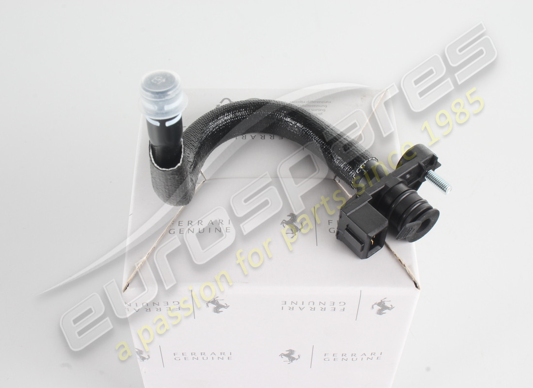 neues ferrari rohr. teilenummer 284209 (2)