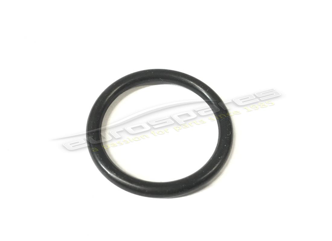 neue ferrari dichtung. teilenummer 101034 (1)