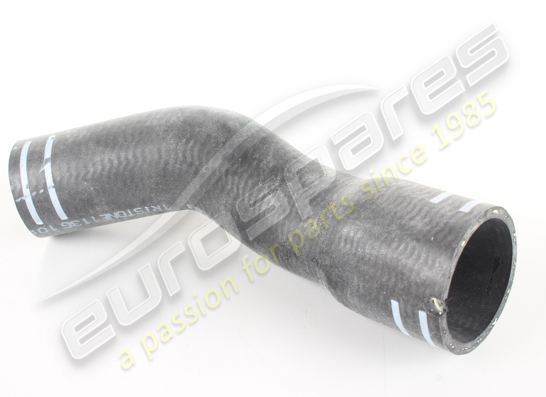 neuer ferrari gummischlauch. teilenummer 208338 (1)