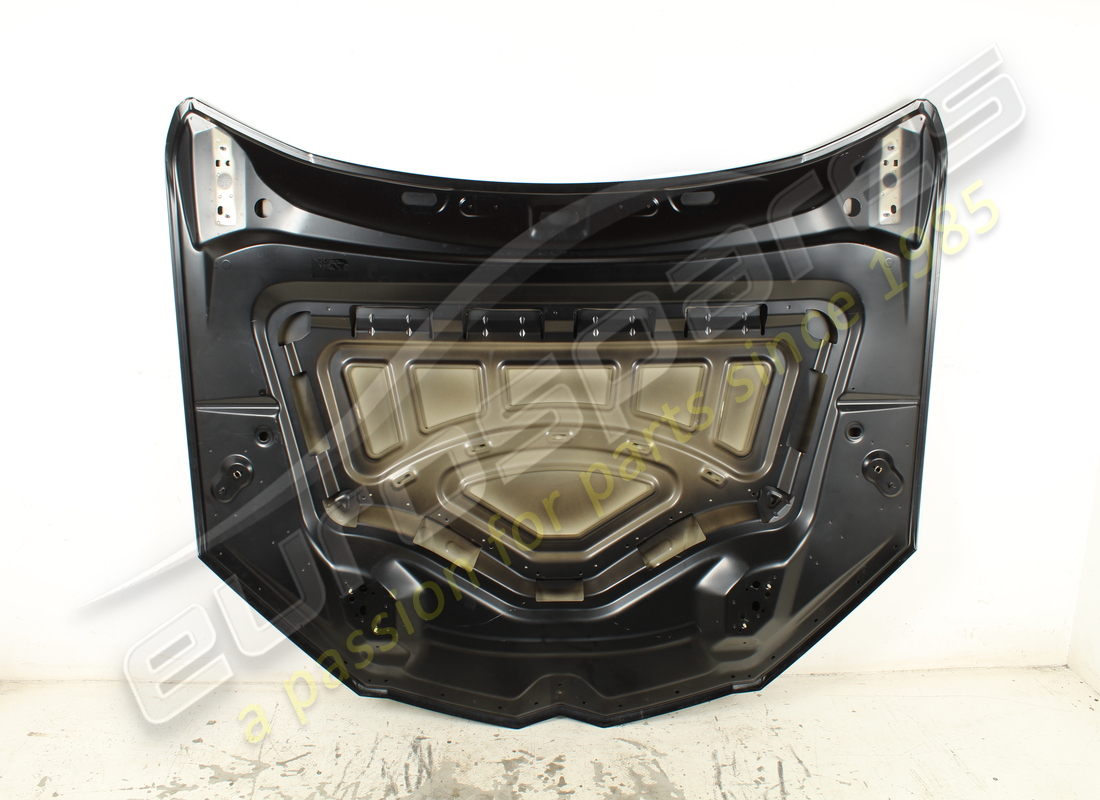 gebrauchte lamborghini haube. teilenummer 4ml823029 (6)