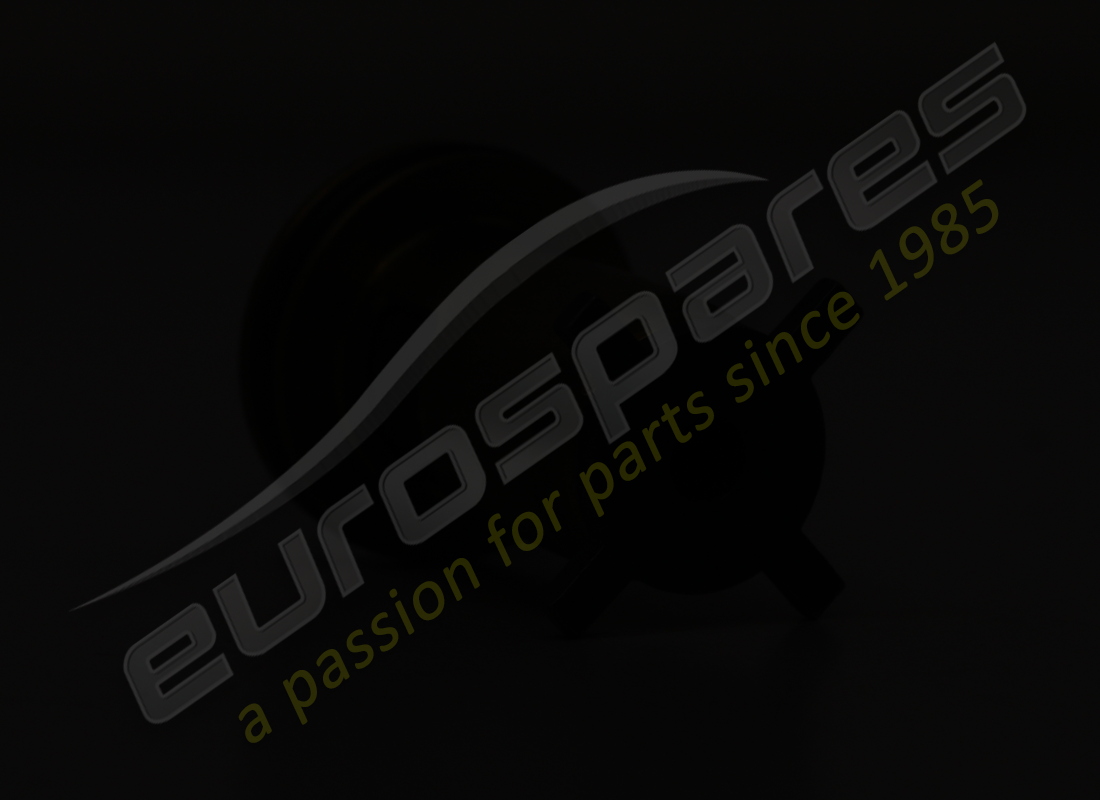 neues lamborghini rückschlagventil. teilenummer 079103175c (4)