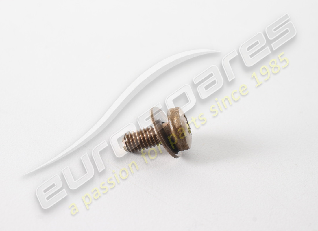 neue ferrari schraube. teilenummer 13290077 (1)