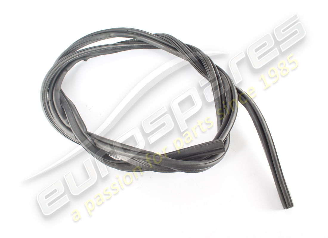 neu ferrari frontscheibendichtung mit flachband. teilenummer 63893500 (1)