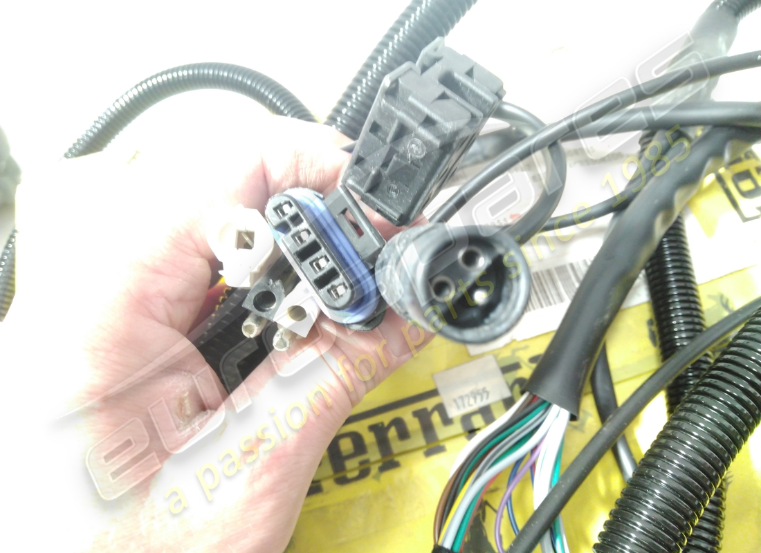 verwendet ferrari vorderseite kabel. teilenummer 172955 (3)