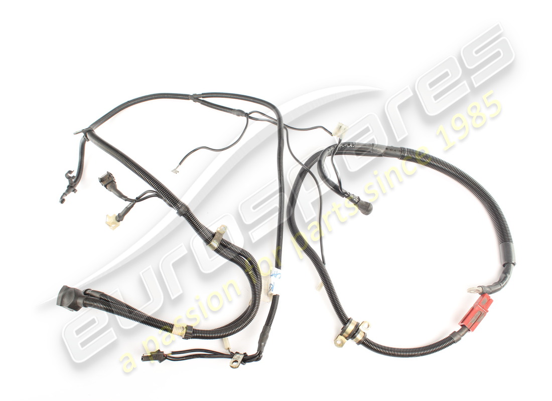 gebrauchte ferrari motorkabel. teilenummer 131165 (1)