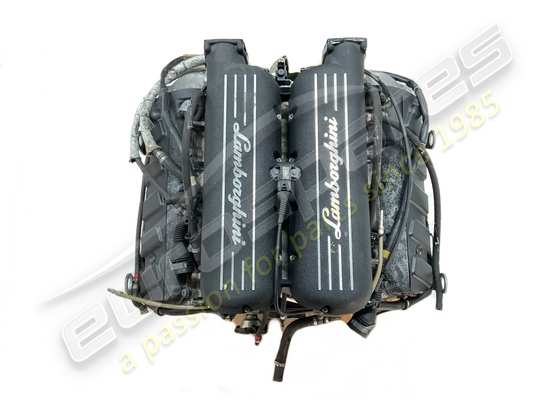 gebraucht lamborghini lp520 gallardo engine-teilenummer mr00y3q07l