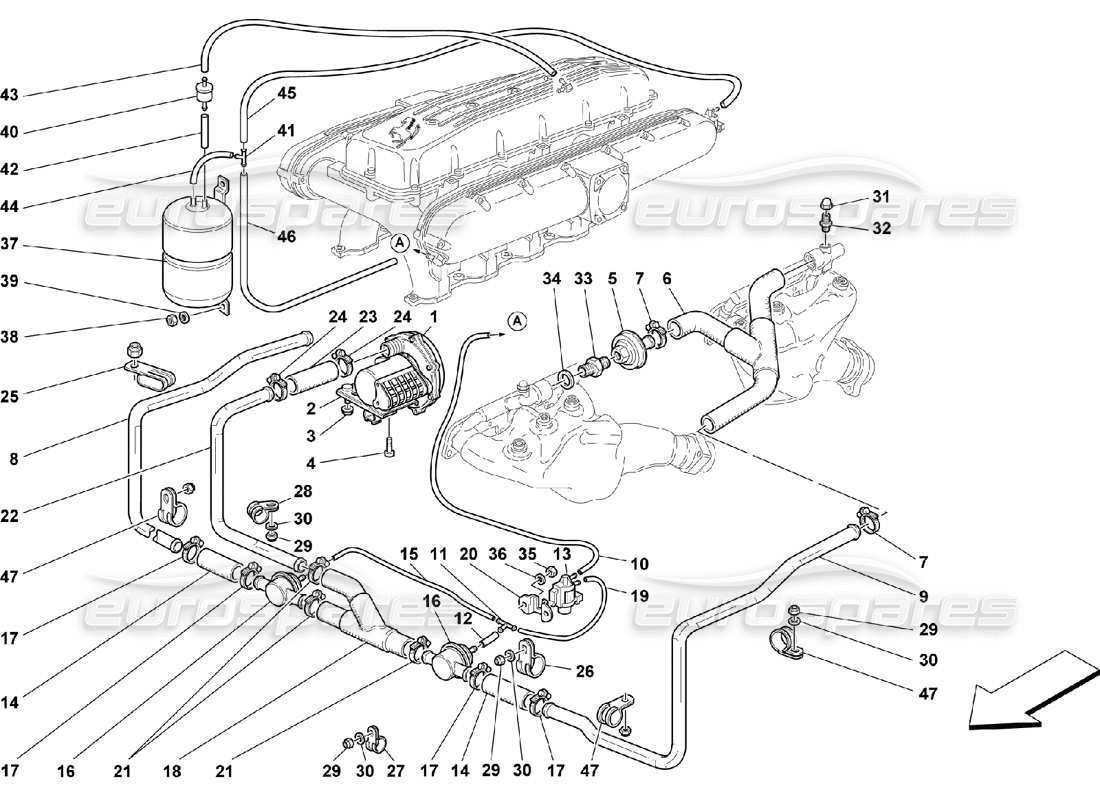 ferrari 550 maranello sekundärluftpumpe teilediagramm
