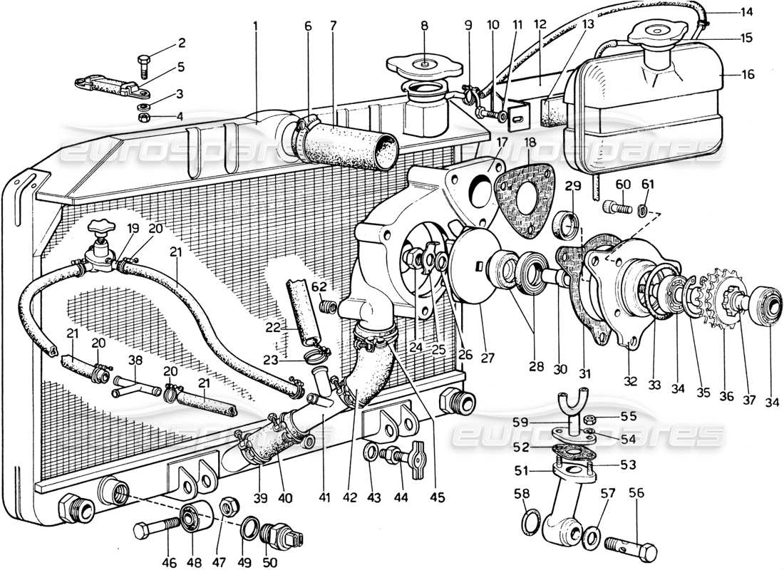 ferrari 365 gtb4 daytona (1969) kühlsystem - teilediagramm für wasserpumpe und kühler