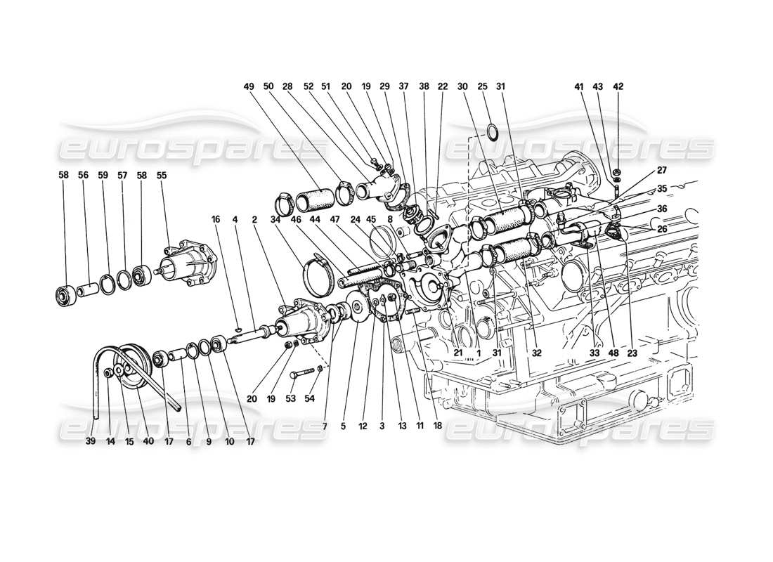 ferrari 308 gtb (1980) teilediagramm für wasserpumpe und rohrleitungen