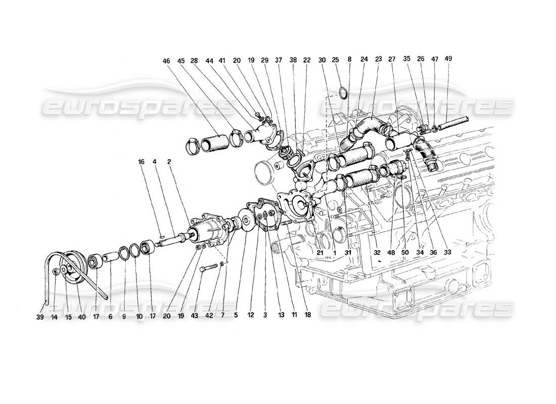 ferrari 308 (1981) gtbi/gtsi teilediagramm für wasserpumpe und rohrleitungen
