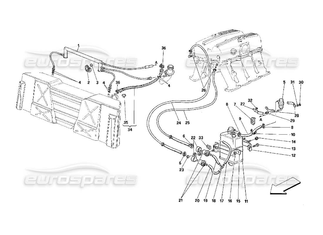 ferrari 348 (2.7 motronic) teilediagramm des verdunstungsschutzgeräts