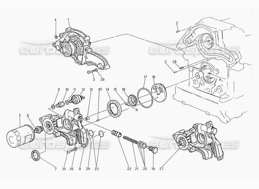 maserati 228 wasserpumpe - ölpumpe teilediagramm