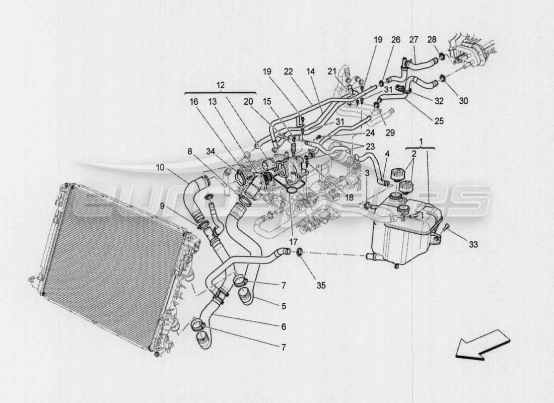 maserati qtp. v8 3.8 530bhp auto 2015 kühlsystem: nähre und leitungen ersatzteildiagramm