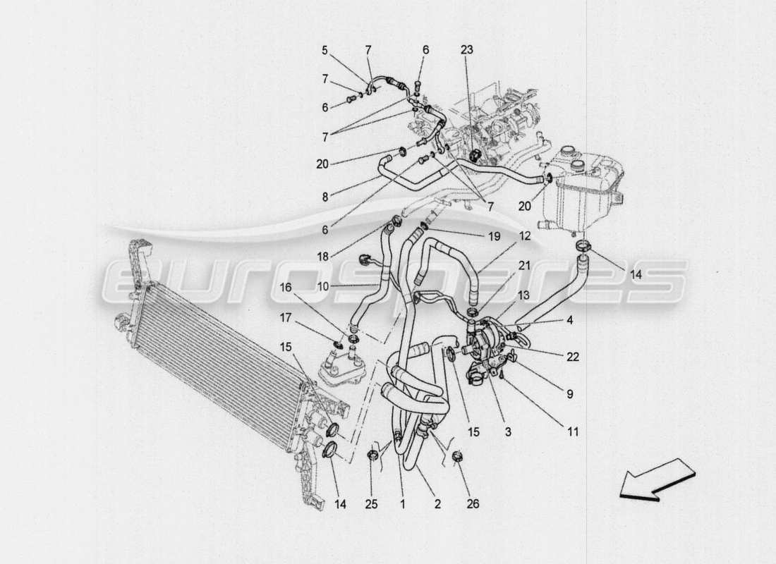 maserati qtp. v8 3.8 530bhp auto 2015 kühlsystem: nähre und leitungen ersatzteildiagramm