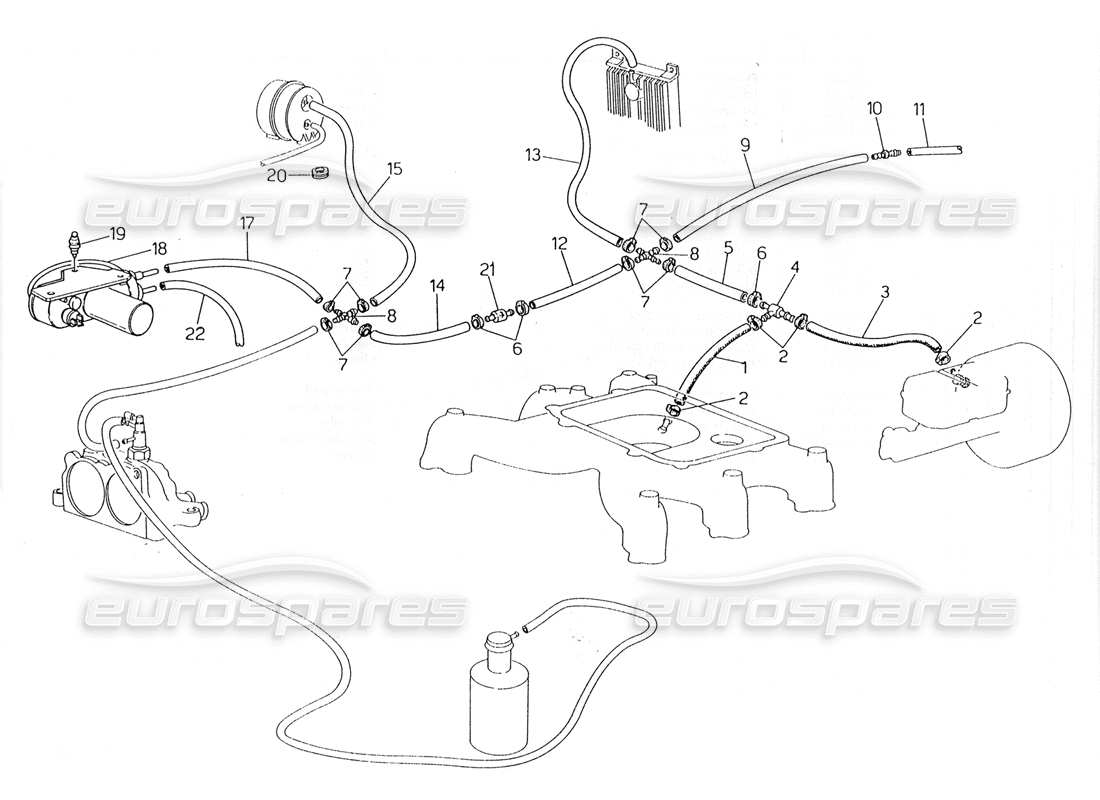 maserati 228 teilediagramm für das verdunstungssystem (linkslenkung mit lambda-fühler)