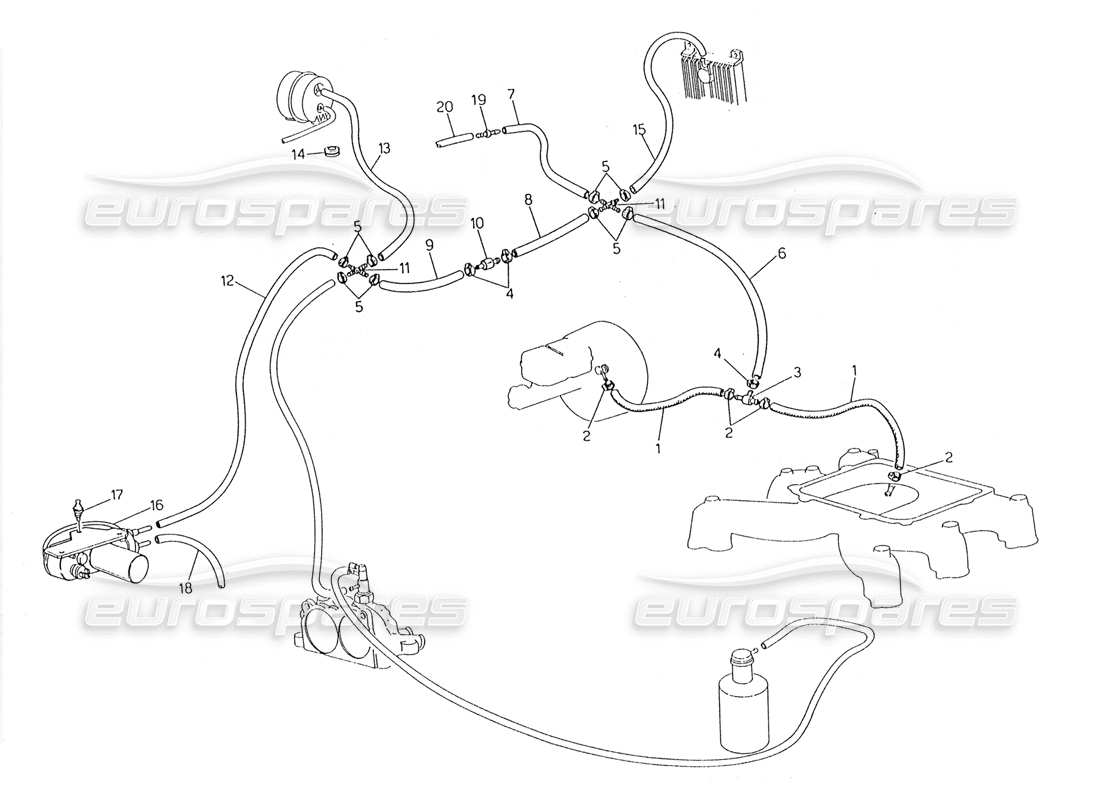 maserati 228 teilediagramm für das verdunstungssystem (rechte lenkung mit lambda-fühler)