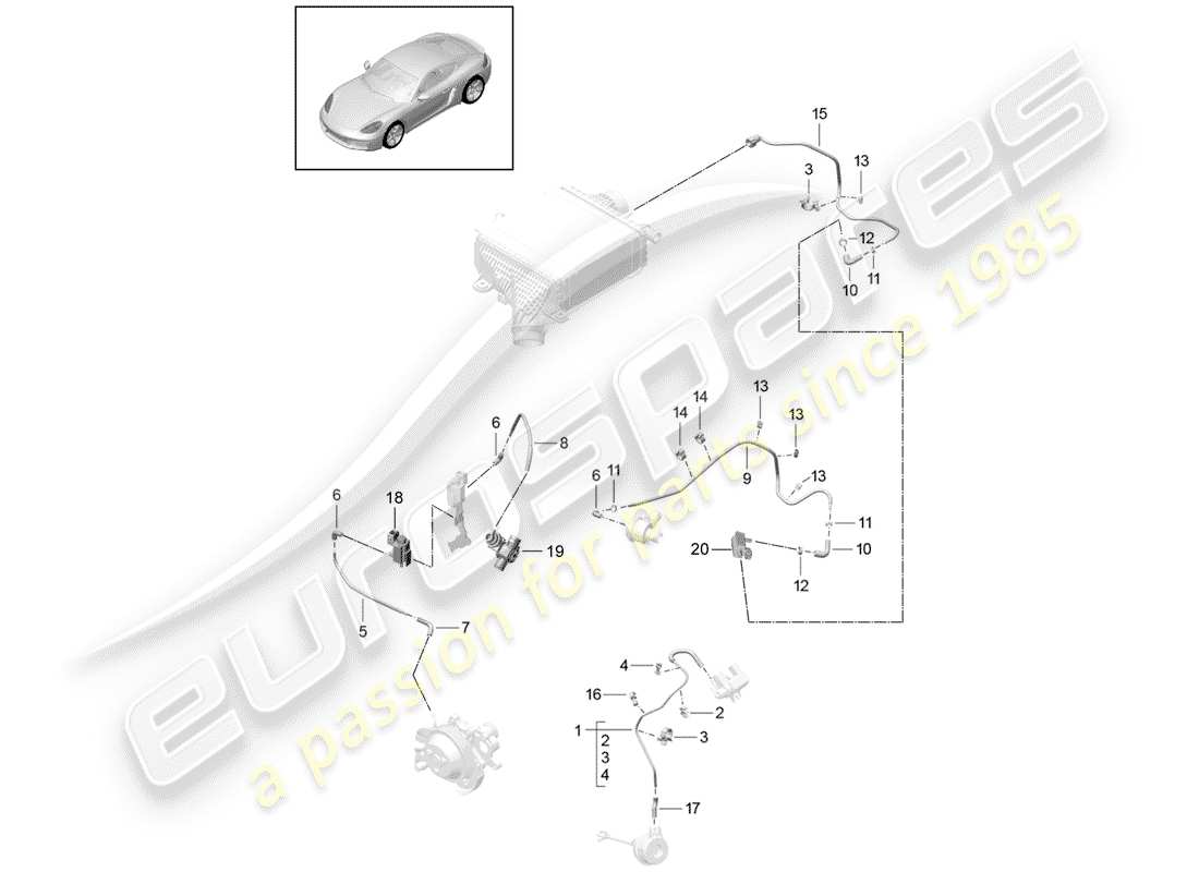 porsche 2020 (718 cayman) control line-teilediagramm