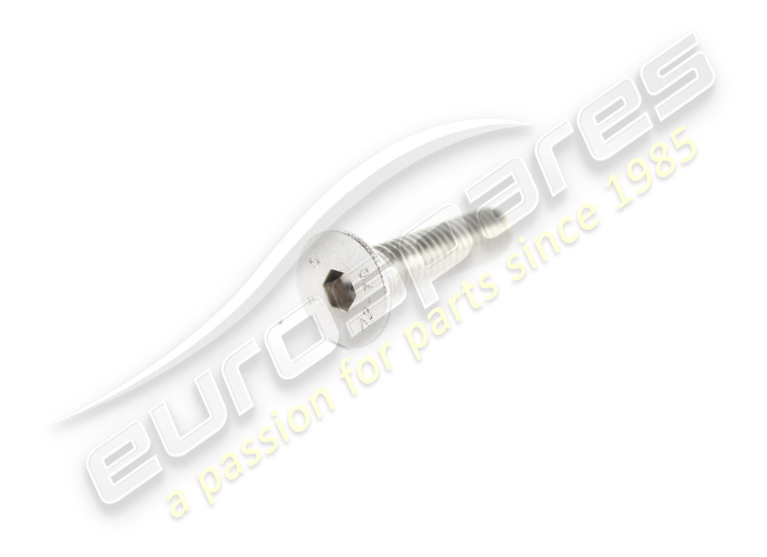 neue ferrari schraube. teilenummer 67580700 (1)