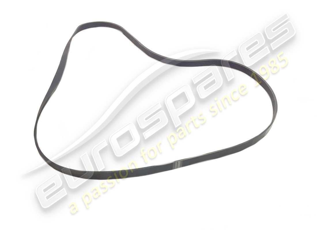 neuer ferrari gürtel. teilenummer 291236 (1)