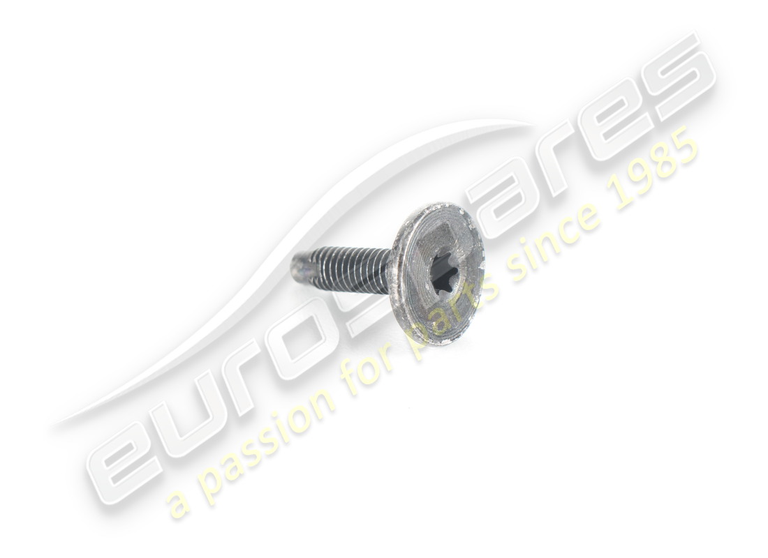 neue ferrari schraube. teilenummer 80874200 (1)