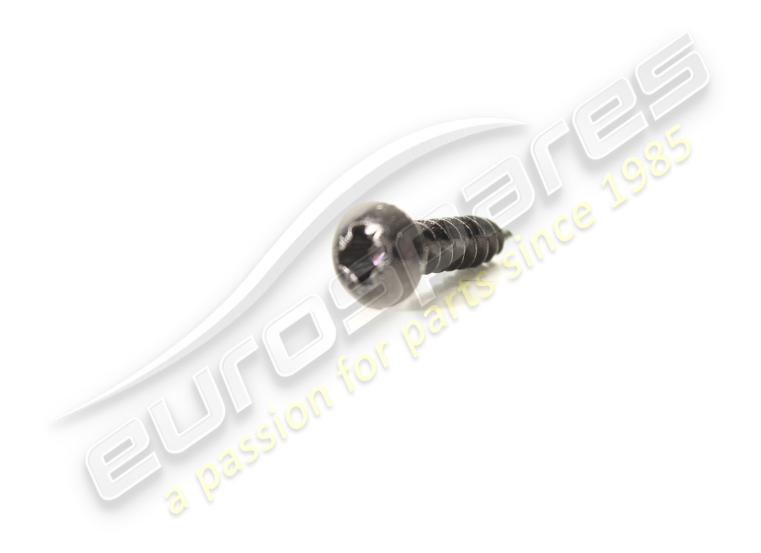 neue ferrari schraube. teilenummer 15688275 (1)
