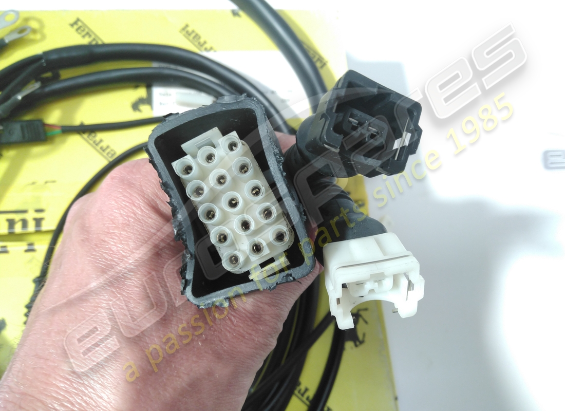neue (andere) ferrari motorkabel. teilenummer 123670 (3)