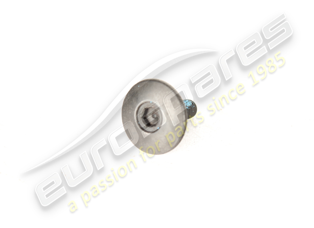 neue ferrari schraube. teilenummer 256490 (1)