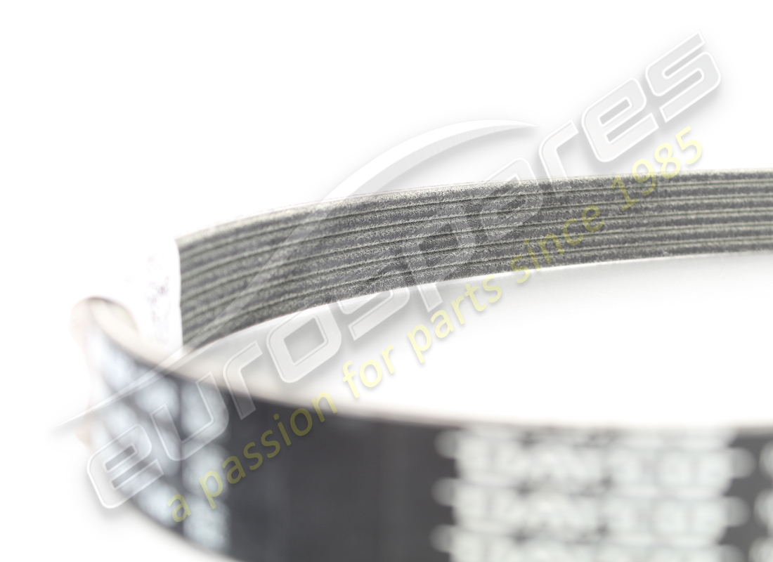 neuer ferrari riemen für lichtmaschine und anlasser. teilenummer 201447 (3)