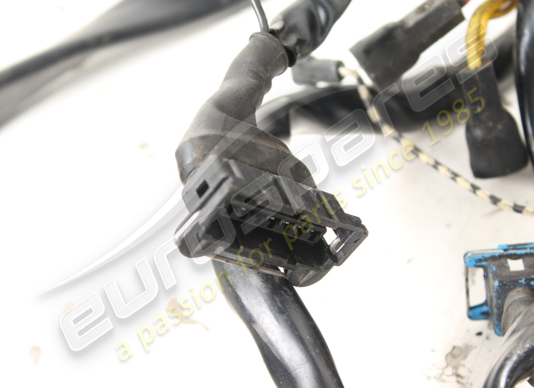 verwendetes ferrari motorkabel. teilenummer 61803900 (4)
