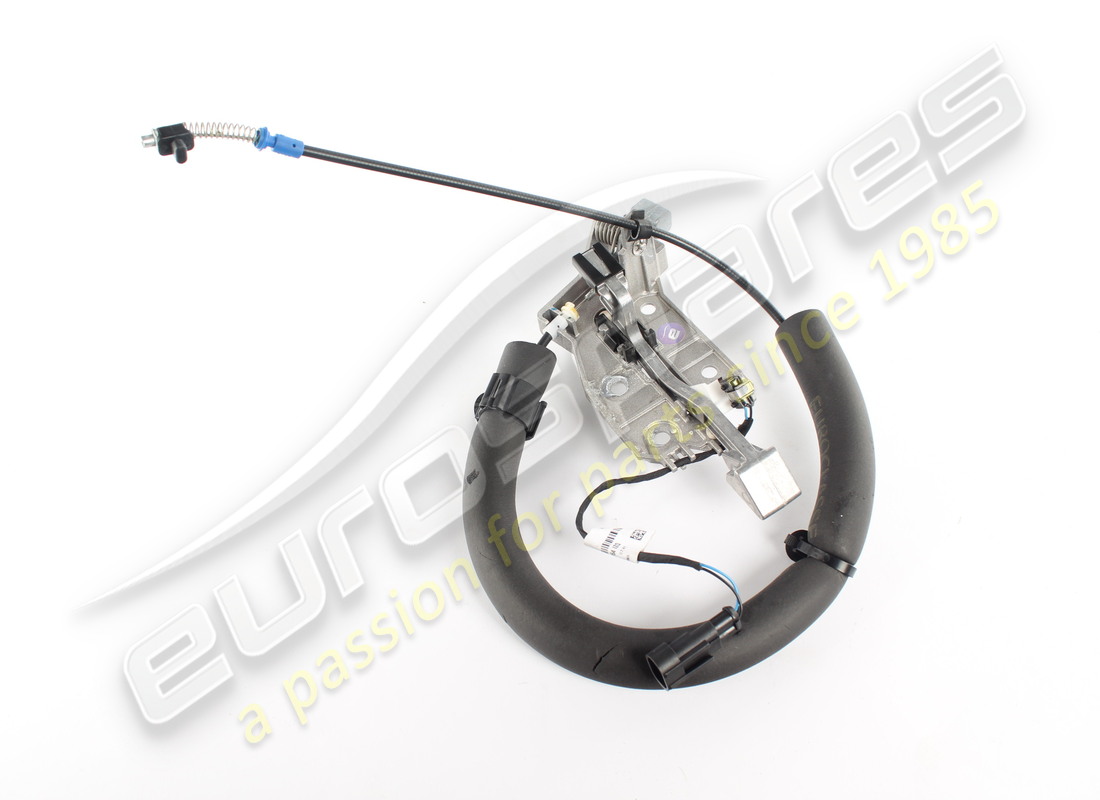 GEBRAUCHT Ferrari LINKES ÄUSSERES TÜRGRIFFMODUL. TEILENUMMER 768209 (1)