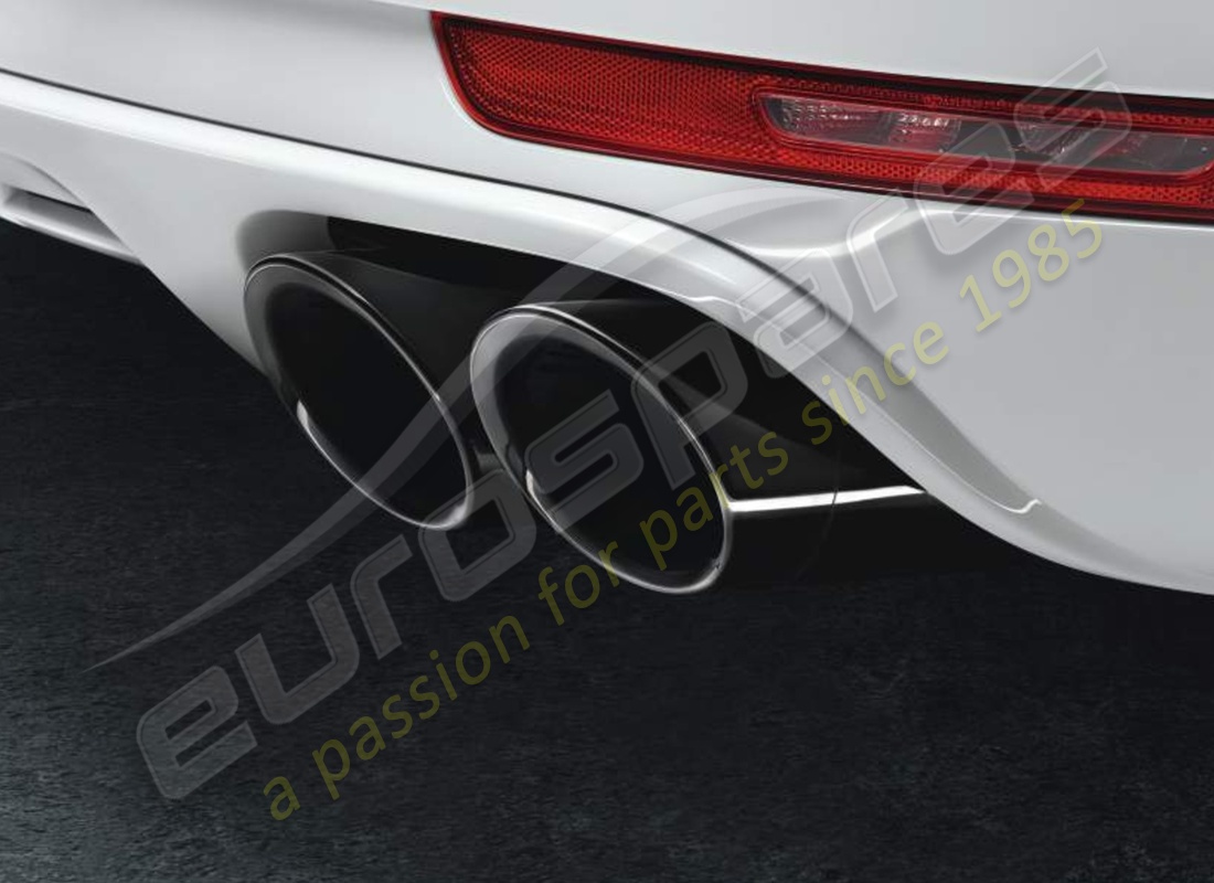 neu porsche sportart endrohre. teilenummer 95b04420011 (1)