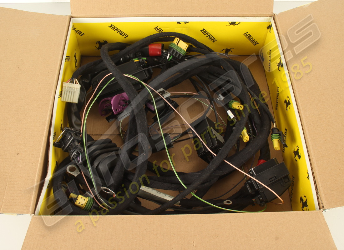 neues ferrari boot-kabel. teilenummer 207542 (1)